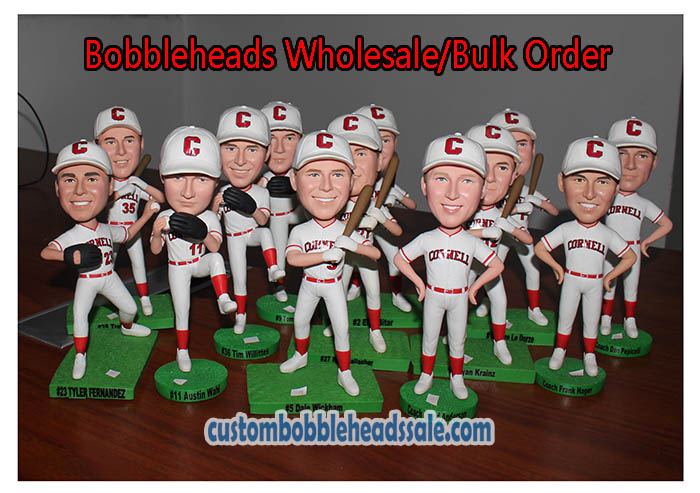Bobblehead Cases Wholesale More Than 15 Doll